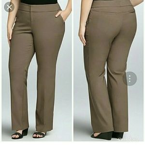 Torrid Jetsetter Pant